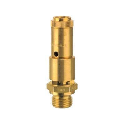 RIEGLER 117703-227.44-4,8 valvola di sicurezza DN 10, ottone, G 3/8, pressione di risposta 4,8 bar, 1 pezzo RIEGLER 117703-227.44-4,8 valvola di sicurezza DN 10, ottone, G 3/8, pressione di risposta 4,8 bar, 1 pezzo