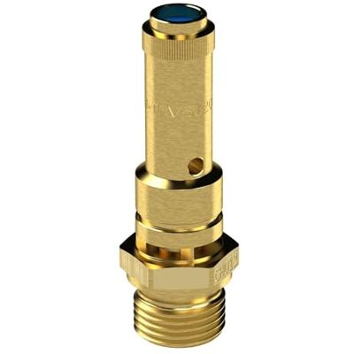 RIEGLER 103993-226.01-6,3 Valvola di sicurezza DN 8, in ottone, G 1/4, pressione di risposta 6,3 bar, 1 pezzo RIEGLER 103993-226.01-6,3 Valvola di sicurezza DN 8, in ottone, G 1/4, pressione di risposta 6,3 bar, 1 pezzo