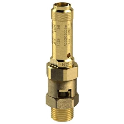 RIEGLER 104954- valvola di sicurezza, in ottone, G 1, pressione di risposta 12 bar, 1 pezzo RIEGLER 104954- valvola di sicurezza, in ottone, G 1, pressione di risposta 12 bar, 1 pezzo