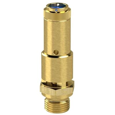 RIEGLER 104714- valvola di sicurezza DN 10, ottone, G 3/4, pressione di risposta 6 bar, 1 pezzo RIEGLER 104714- valvola di sicurezza DN 10, ottone, G 3/4, pressione di risposta 6 bar, 1 pezzo