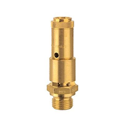 RIEGLER 104610-227.55-15,6 Valvola di sicurezza DN 10, in ottone G 1/2, pressione di risposta 15,6 bar, 1 pezzo RIEGLER 104610-227.55-15,6 Valvola di sicurezza DN 10, in ottone G 1/2, pressione di risposta 15,6 bar, 1 pezzo