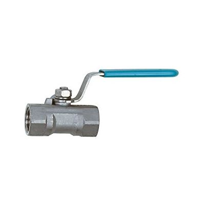 RIEGLER Rubinetto a sfera in acciaio INOX 1.4408, 1 pezzo, serie piccola, G 1/2, DN 9,5, 1 pezzo RIEGLER Rubinetto a sfera in acciaio INOX 1.4408, 1 pezzo, serie piccola, G 1/2, DN 9,5, 1 pezzo