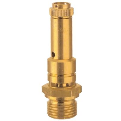 RIEGLER 104086-226.01-34,0 valvola di sicurezza DN 8, ottone, G 1/4, pressione di risposta 34 bar, 1 pezzo RIEGLER 104086-226.01-34,0 valvola di sicurezza DN 8, ottone, G 1/4, pressione di risposta 34 bar, 1 pezzo