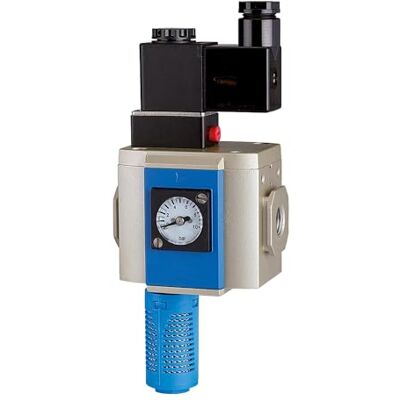RIEGLER 12.2 Valvola di avviamento a 3/2 vie, 24 V DC, BG 300, G 3/8, PE 2,5-9 bar, 1 pezzo RIEGLER 12.2 Valvola di avviamento a 3/2 vie, 24 V DC, BG 300, G 3/8, PE 2,5-9 bar, 1 pezzo