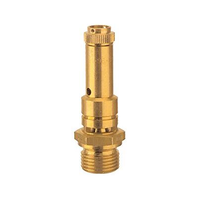 RIEGLER 104083-226.01-32,0 valvola di sicurezza DN 8, ottone, G 1/4, pressione di risposta 32 bar, 1 pezzo RIEGLER 104083-226.01-32,0 valvola di sicurezza DN 8, ottone, G 1/4, pressione di risposta 32 bar, 1 pezzo