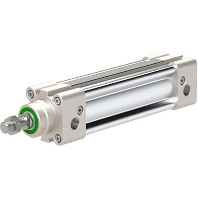 RIEGLER Cilindro normale serie SAI a doppio effetto, 50 mm di diametro, corsa 100 mm, connettore G 1/4 RIEGLER Cilindro normale serie SAI a doppio effetto, 50 mm di diametro, corsa 100 mm, connettore G 1/4