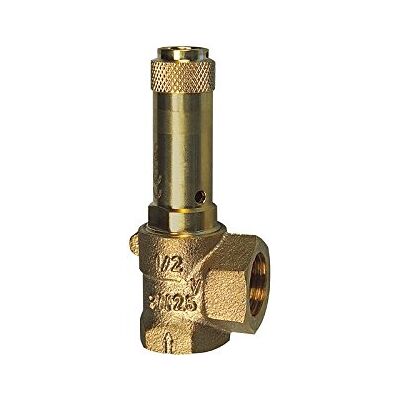 RIEGLER – Valvola di sicurezza Eck, G 1/2, regolazione della pressione di 8 bar ri 221.03 – 8,0 RIEGLER – Valvola di sicurezza Eck, G 1/2, regolazione della pressione di 8 bar ri 221.03 – 8,0