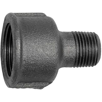 RIEGLER 133782-TFM 246-2010-S Manicotto di riduzione 246, Rp 2 i, R 1 a, ghisa malleabile, 1 pezzo RIEGLER 133782-TFM 246-2010-S Manicotto di riduzione 246, Rp 2 i, R 1 a, ghisa malleabile, 1 pezzo