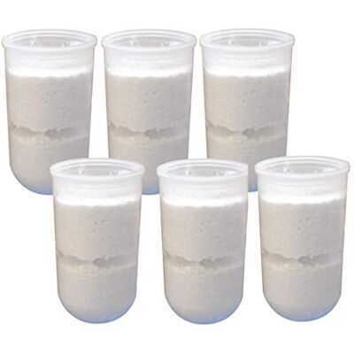 GOPL RICARICA CARTUCCIA POLIFOSFATI 6pz SALI PER FILTRO DOSATORE CALDAIA SCALDABAGNO GOPL RICARICA CARTUCCIA POLIFOSFATI 6pz SALI PER FILTRO DOSATORE CALDAIA SCALDABAGNO