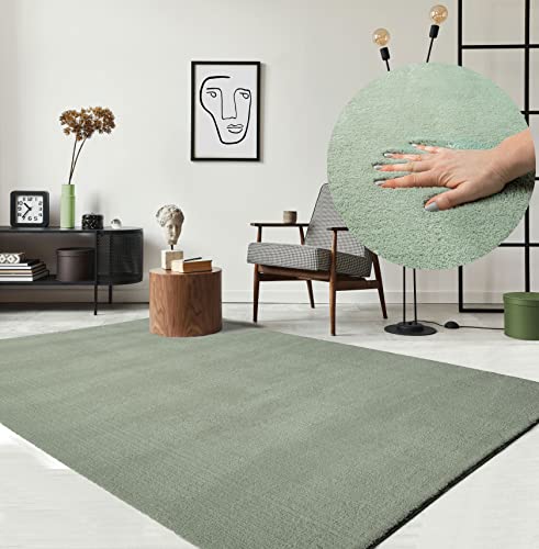 the carpet Relax Tappeto moderno a pelo corto, soggiorno, fondo antiscivolo, lavabile fino a 30 gradi, morbidissimo, aspetto pelliccia, Verde, 140 x 200 cm