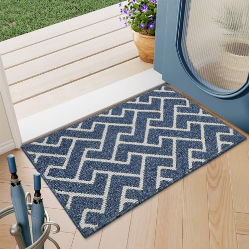 Biscpro Zerbino Ingresso Interno,Zerbino Tappeto Ingresso Casa (Blue, 50 * 80 CM)