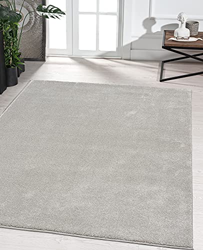 the carpet Marley elegante tappeto design soggiorno, morbido & facile cura tappeto soggiorno a pelo corto in argento, tappeto 60 x 110 cm