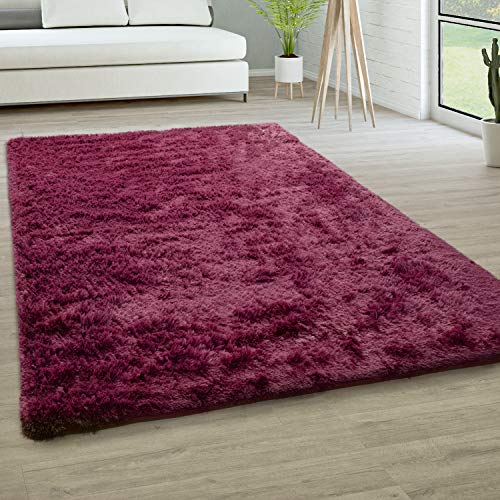 Paco Home Tappeto Salotto Pelo Lungo Soggiorno Pelliccia Finta Shaggy Morbido Monocolore, Dimensione:120x170 cm, Colore:Viola