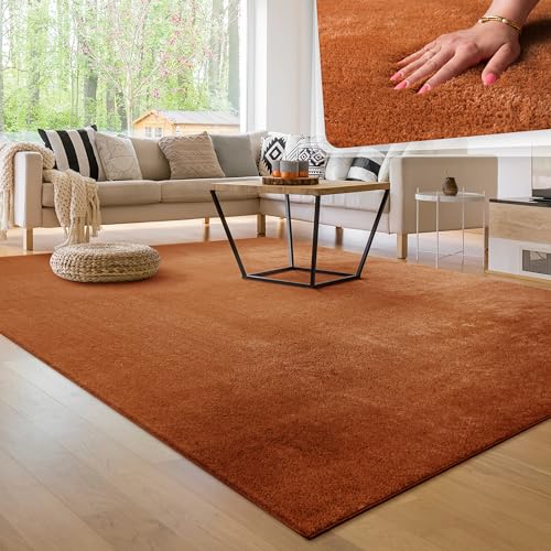 Paco Home Tappeto per soggiorno Unicolore Lavabile Morbido pelo corto morbido, Dimensione:300x400 cm, Colore:Rame