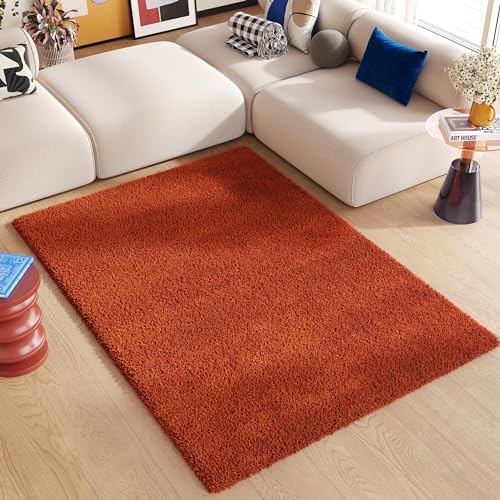 TAPISO Essence Tappeto Shaggy a Pelo Lungo Monocromatico Rosso Terracotta per Soggiorno Sala Camera da Letto Cameretta Morbido Resistente Sicuro OEKO-TEX 80 x 150 cm