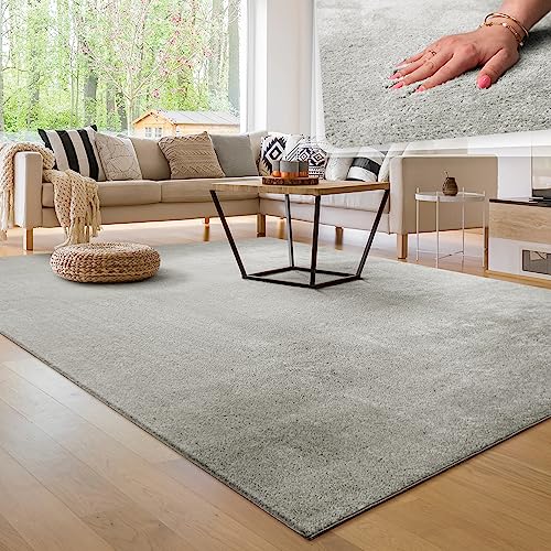 Paco Home Tappeto per Soggiorno Unicolore Lavabile Morbido Pelo Corto Morbido, Dimensione:200x280 cm, Colore:Argento