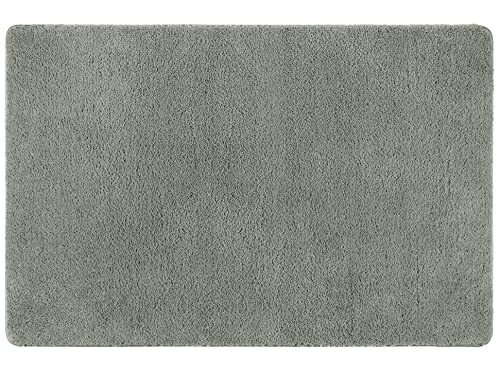 Famibay Zerbino Porta Microfibra Zerbini Assorbente Tappetini Entrata Casa Lavabile Tappeto Ingresso per Interno Esterno Bagno Cucina Soggiorno Camera da Letto(Grigio, 80 x 120 cm)