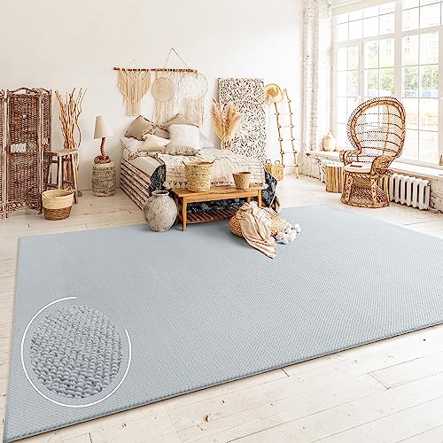 Paco Home Tappeto Salotto Moderno Soggiorno Pelo Corto Boho Motivo Scandinavo Monocolore, Dimensione:80x150 cm, Colore:Grigio