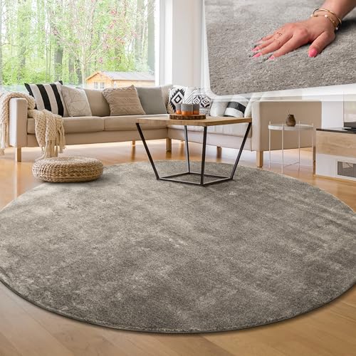 Paco Home Tappeto per soggiorno Unicolore Lavabile Morbido pelo corto morbido, Dimensione:Ø 200 cm tondo, Colore:Grigio