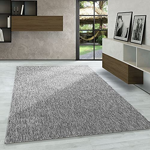 Carpetsale24 Tappeti a pelo corto, colore grigio chiaro, unicolor-monocroma, 107446, tappeto rettangolare, Tappeto soggiorno, 200 x 290 cm