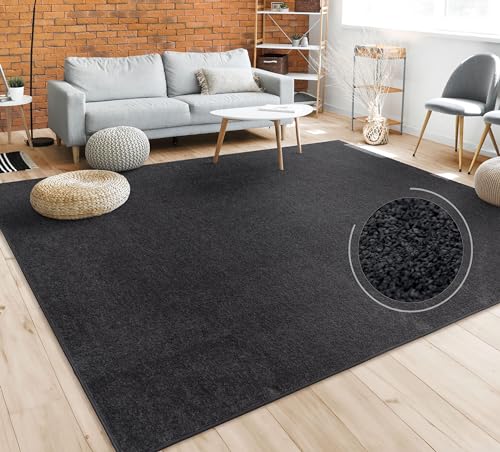 Paco Home Tappeto per Soggiorno Tinta Unita Semplice e Moderno Pelo Corto, DIV. Misure e Colori, Dimensione:160 cm Quadrato, Colore:Nero