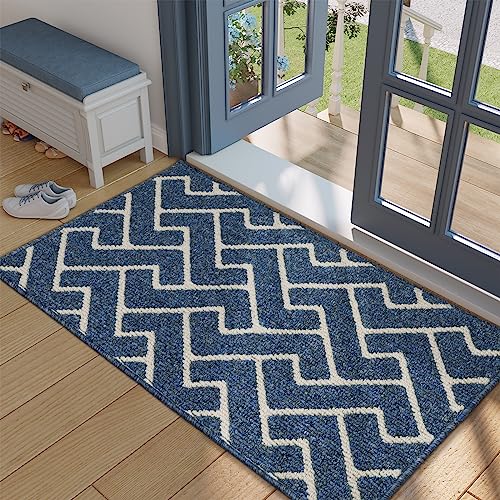 Biscpro Zerbino Ingresso Interno,Zerbino Tappeto Ingresso Casa (Blue, 60 * 90 CM)