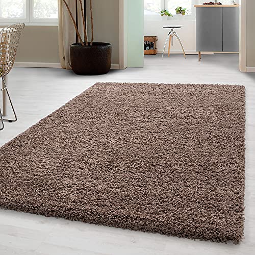 Carpetsale24 Tappeto pelo lungo, colore mocca, unicolor-monocroma, 7855, tappeto rettangolare, Tappeto soggiorno, 240 x 340 cm