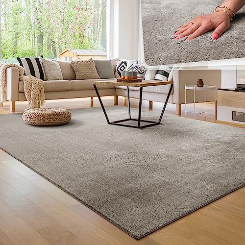 Paco Home Tappeto per soggiorno Unicolore Lavabile Morbido pelo corto morbido, Dimensione:200 cm quadrato, Colore:Grigio