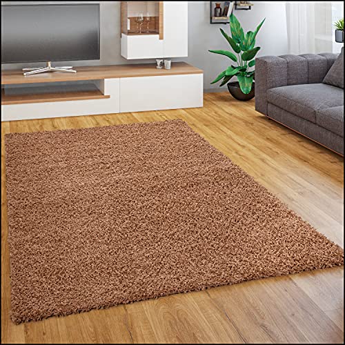 Paco Home Tappeto Salotto Moderno Soggiorno Pelo Lungo Peloso Monocolore Moderno Tappeto Morbido, Dimensione:120x170 cm, Colore:Terracotta