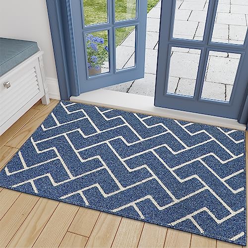 Biscpro Zerbino Ingresso Interno,Zerbino Tappeto Ingresso Casa (Blue, 80 * 120 CM)