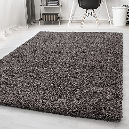 Carpetsale24 Tappeto pelo lungo, colore tortora, unicolor-monocroma, 15523, tappeto corridoio, Tappeto soggiorno, 65 x 130 cm