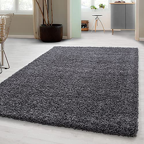 Carpetsale24 Tappeto pelo lungo, colore grigio, unicolor-monocroma, 7779, tappeto corridoio, Tappeto soggiorno, 60 x 110 cm