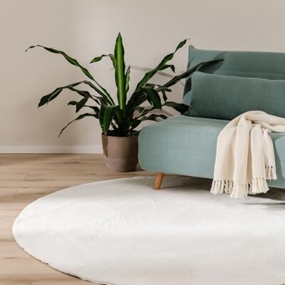 benuta Basic Tappeto salotto Furry Crema Rotondo 160 cm Soffice salotto Retro antiscivolo Lavabile Compatibile con riscaldamento pavimento benuta Basic Tappeto salotto Furry Crema Rotondo 160 cm Soffice salotto Retro antiscivolo Lavabile Compatibile con riscaldamento pavimento
