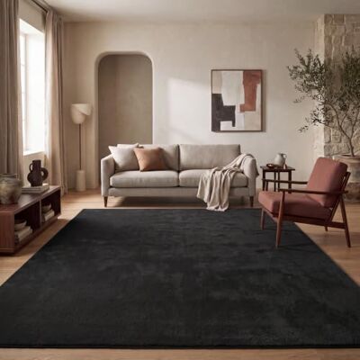 PACO HOME - Tappeto Salotto Pelo Corto - Nero - 100% poliestere - Rug PACO HOME - Tappeto Salotto Pelo Corto - Nero - 100% poliestere - Rug