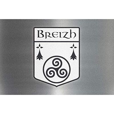 ID MAT ID Opaco Bretagna Effetto Metallo Boston Region, Fibre Sintetiche, Grigio Metallo, 40 x 60 x 0,5 cm ID MAT ID Opaco Bretagna Effetto Metallo Boston Region, Fibre Sintetiche, Grigio Metallo, 40 x 60 x 0,5 cm