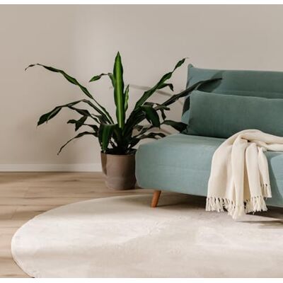 benuta Basic Tappeto salotto Furry Beige Rotondo 160 cm Soffice salotto Retro antiscivolo Lavabile Compatibile con riscaldamento pavimento benuta Basic Tappeto salotto Furry Beige Rotondo 160 cm Soffice salotto Retro antiscivolo Lavabile Compatibile con riscaldamento pavimento