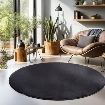 Carpetsale24 Tappeto Lavabile a Pelo Corto Rotondo 120 cm Nero Carpetsale24 Tappeto Lavabile a Pelo Corto Rotondo 120 cm Nero