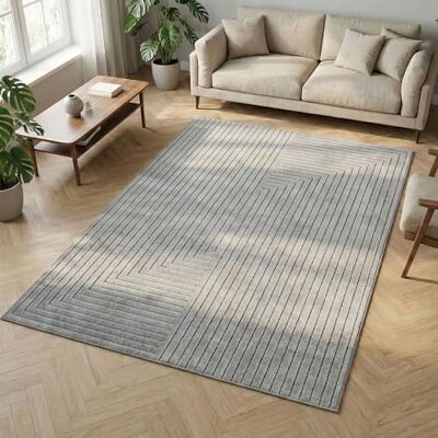 Carpetsale24 Tappeto 120x170 cm Grigio, Pelo Corto con Effetto 3D Alto-Basso, Design Boho Scandinavo, per Soggiorno, Camera, Cucina o Esterni Carpetsale24 Tappeto 120x170 cm Grigio, Pelo Corto con Effetto 3D Alto-Basso, Design Boho Scandinavo, per Soggiorno, Camera, Cucina o Esterni