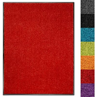 Floordirekt Use&Wash Zerbino per porta, per corridoio, ingresso, ingresso, antiscivolo e lavabile, in diversi colori (120 x 300 cm, rosso 15) Floordirekt Use&Wash Zerbino per porta, per corridoio, ingresso, ingresso, antiscivolo e lavabile, in diversi colori (120 x 300 cm, rosso 15)