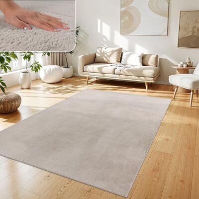 Paco Home Tappeto Salotto e Camera da Letto Moderno a Pelo Corto Morbido, Lavabile, Antiscivolo, in Finta Pelliccia, Dimensione:120x160 cm, Colore:Beige Paco Home Tappeto Salotto e Camera da Letto Moderno a Pelo Corto Morbido, Lavabile, Antiscivolo, in Finta Pelliccia, Dimensione:120x160 cm, Colore:Beige