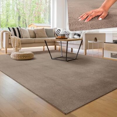 Paco Home Tappeto Moderno e Morbido per Soggiorno a Pelo Corto Lavabile Fluffy Uni Effetto Pelliccia Senza Tempo Elegante Antiscivolo Facile da Pulire, Dimensione:240x340 cm, Colore:Taupe Paco Home Tappeto Moderno e Morbido per Soggiorno a Pelo Corto Lavabile Fluffy Uni Effetto Pelliccia Senza Tempo Elegante Antiscivolo Facile da Pulire, Dimensione:240x340 cm, Colore:Taupe