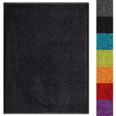 Floordirekt Use&Wash Zerbino per porta, per corridoio, ingresso, ingresso, antiscivolo e lavabile (135 x 200 cm, nero 1000) Floordirekt Use&Wash Zerbino per porta, per corridoio, ingresso, ingresso, antiscivolo e lavabile (135 x 200 cm, nero 1000)