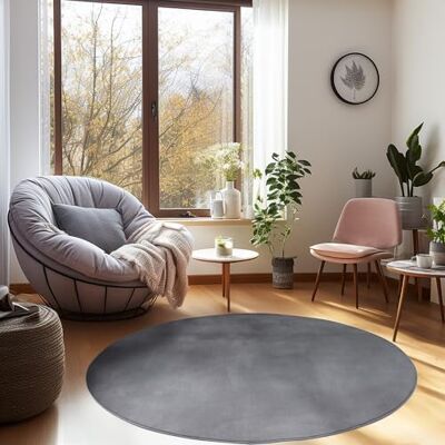Carpetsale24 Tappeto Lavabile a Pelo Corto Rotondo 160 cm Grigio Carpetsale24 Tappeto Lavabile a Pelo Corto Rotondo 160 cm Grigio