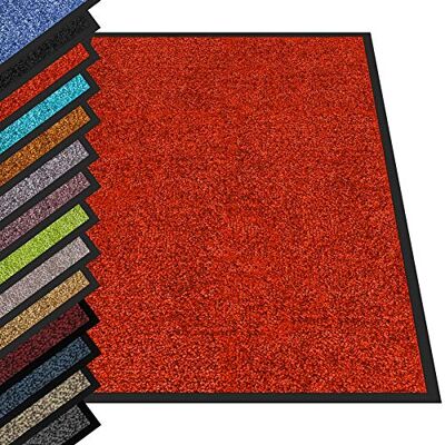 casa pura Tappetino per Ingresso da interno Rhine tappetino antiscivolo e antipolvere, zerbino d'ingresso per interni, zerbino lavabile e ultra assorbente Rosso Cocomero 120 x 180 cm casa pura Tappetino per Ingresso da interno Rhine tappetino antiscivolo e antipolvere, zerbino d'ingresso per interni, zerbino lavabile e ultra assorbente Rosso Cocomero 120 x 180 cm