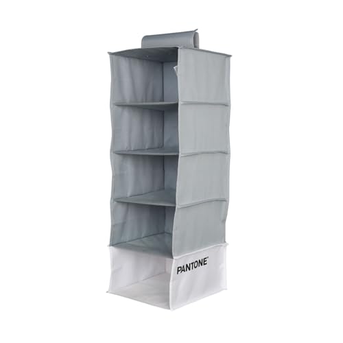 SWEET HOME PANTONE™ Organizer Armadio Salvaspazio da Appendere 5 Scomparti Abiti e Accessori, Organizzatore Armadio Verticale Pieghevole, Divisori per Armadio Interno Portaoggetti e Vestiti 84x30x30 cm, Grigio