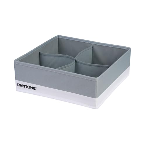 SWEET HOME PANTONE™ Organizer Armadio e Cassetti Salvaspazio 1 Pezzo 4 Scomparti Biancheria Accessori, Organizer Cassetti Bagno Camera Portaoggetti Organizzatore Armadio Cassetti Pieghevole 28x28x10 cm, Grigio