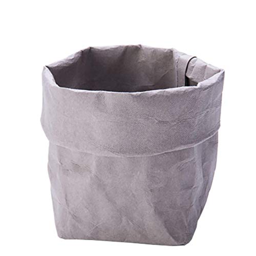 Angoter 1PC Lavabile Kraft Paper Bag Bagagli Portatile Di Trucco Spazzola Organizzatore Multifunzione Sacchetti Di Carta Durevole Per Attrezzi Di Trucco, Piantare Bagagli, Regalo Wrap (Grigio)