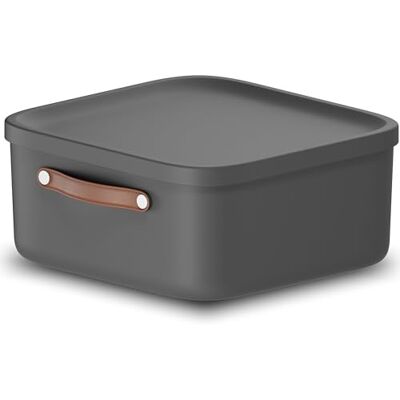 Rotho Maloja Scatole Plastica con Coperchio 20 L Impilabili in Antracite Rotho Maloja Scatole Plastica con Coperchio 20 L Impilabili in Antracite