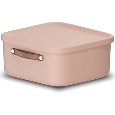 Rotho Maloja Scatole plastica con coperchio 20 L Scatola porta oggetti rosa Contenitore plastica con coperchio, scatole portaoggetti impilabili, forma bassa, cinghia, bagno, cucina, cameretta Rotho Maloja Scatole plastica con coperchio 20 L Scatola porta oggetti rosa Contenitore plastica con coperchio, scatole portaoggetti impilabili, forma bassa, cinghia, bagno, cucina, cameretta