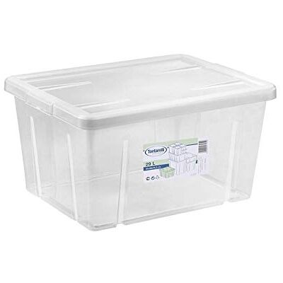 Tontarelli Scatola, 47 X 36 x 24.5 cm Tontarelli Scatola, 47 X 36 x 24.5 cm